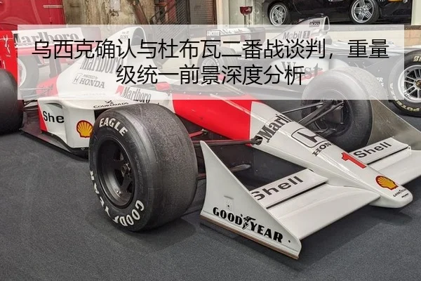 乌西克确认与杜布瓦二番战谈判，重量级统一前景深度分析